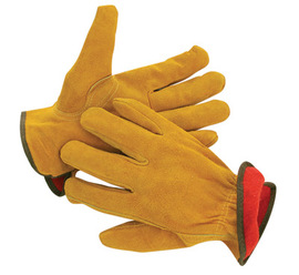 Radnor Winter Driver Gloves